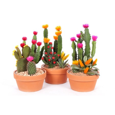 Cactus décoré 20cm